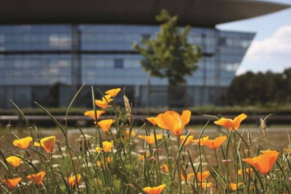 Laboratories for rent in technopole Bordeaux