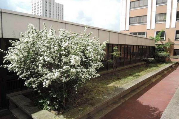 renovated offices for rent in Paris